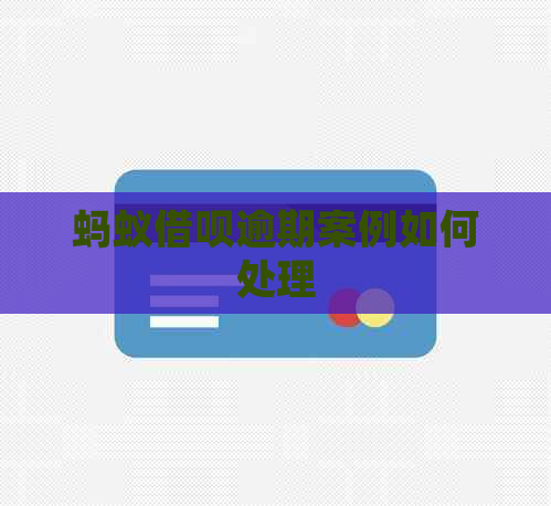 蚂蚁信用卡逾期案例如何处理