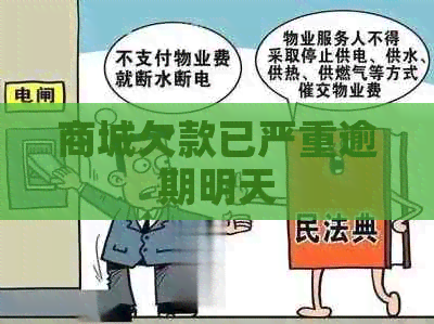 商城欠款已严重逾期明天