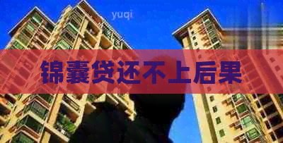 锦囊贷还不上后果
