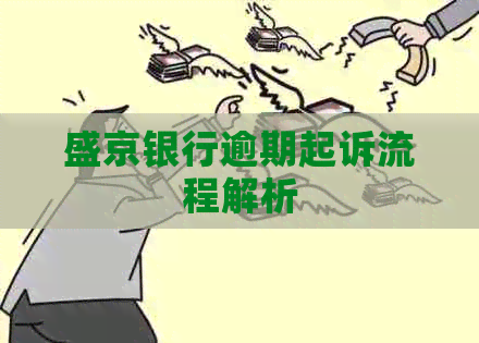 盛京银行逾期起诉流程解析