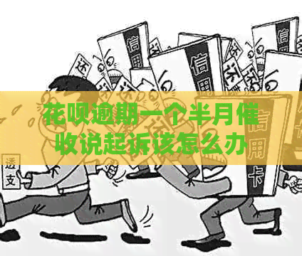 白条逾期一个半月说起诉该怎么办