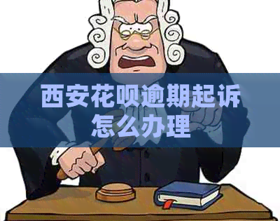 西安白条逾期起诉怎么办理
