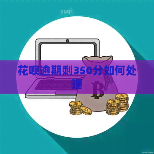 白条逾期剩350分如何处理