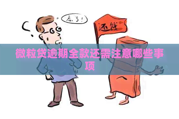 微粒贷逾期全款还需注意哪些事项