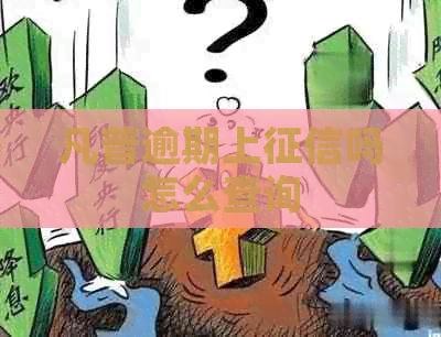 凡普逾期上吗怎么查询
