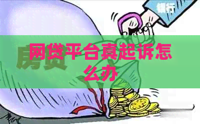 网贷平台真起诉怎么办