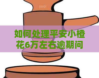 如何处理平安小橙花6万左右逾期问题
