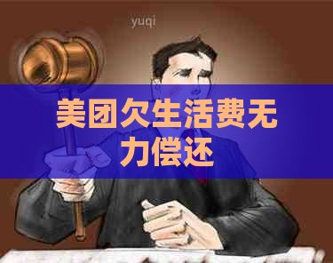 美团欠生活费无力偿还