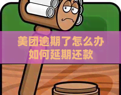 美团逾期了怎么办如何延期还款