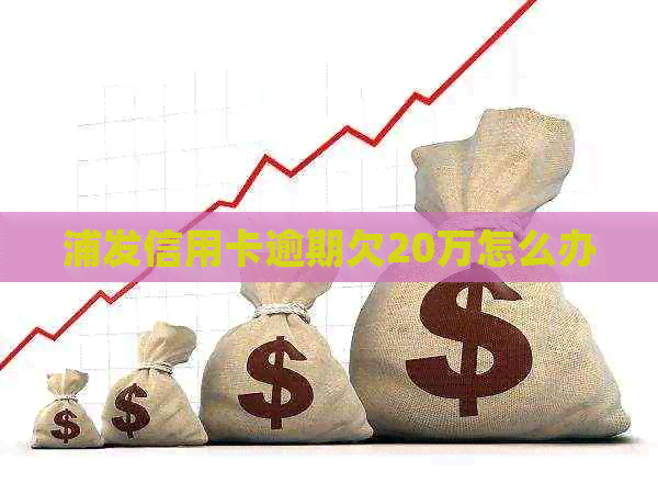 浦发信用卡逾期欠20万怎么办