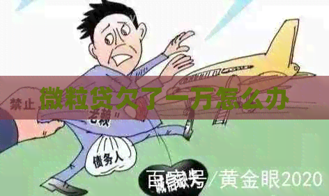 微粒贷欠了一万怎么办
