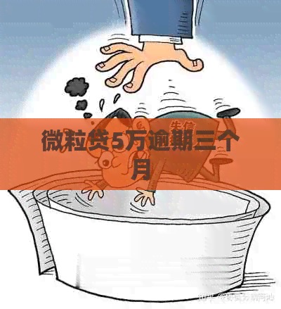 微粒贷5万逾期三个月