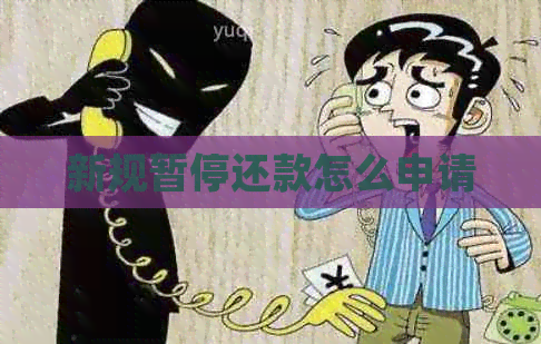 新规暂停还款怎么申请