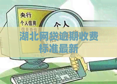 湖北网贷逾期收费标准最新