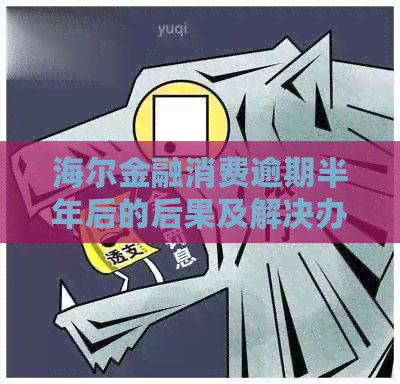 海尔金融消费逾期半年后的后果及解决办法