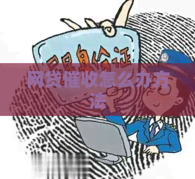 网贷怎么办方法