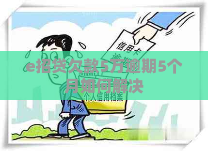 e招贷欠款5万逾期5个月如何解决