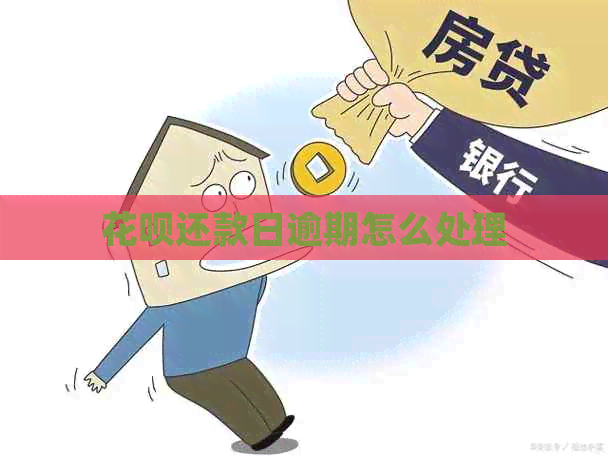 白条还款日逾期怎么处理