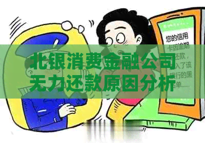 北银消费金融公司无力还款原因分析及解决方案