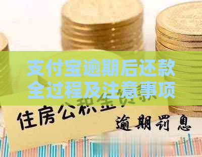 信用卡逾期后还款全过程及注意事项