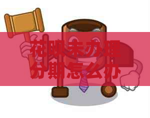 白条未办理分期怎么办