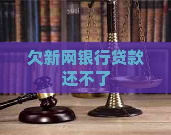 欠新网银行贷款还不了