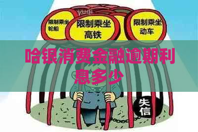 哈银消费金融逾期利息多少