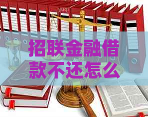 招联金融借款不还怎么办