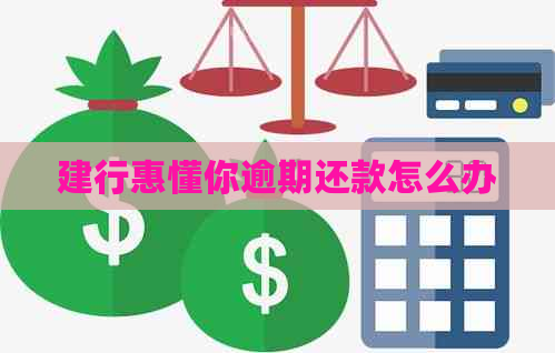 建行惠懂你逾期还款怎么办