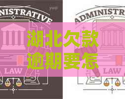 湖北欠款逾期要怎么协商处理