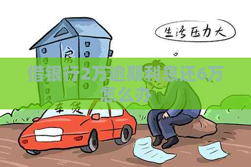 借银行2万逾期利息还6万怎么办