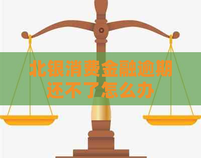 北银消费金融逾期还不了怎么办