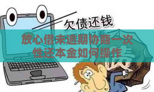 放心借未逾期协商一次性还本金如何操作