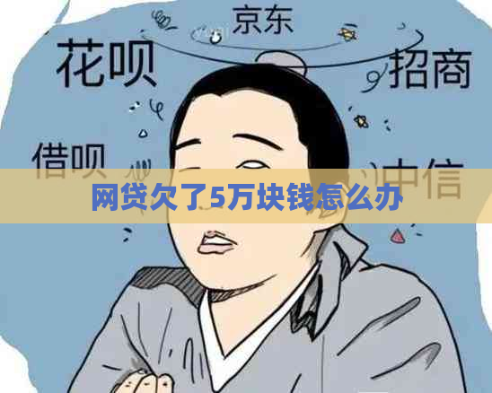 网贷欠了5万块钱怎么办