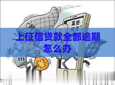 上贷款全部逾期怎么办