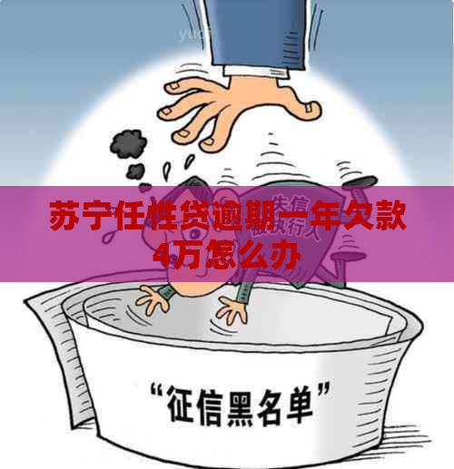 苏宁任性贷逾期一年欠款4万怎么办