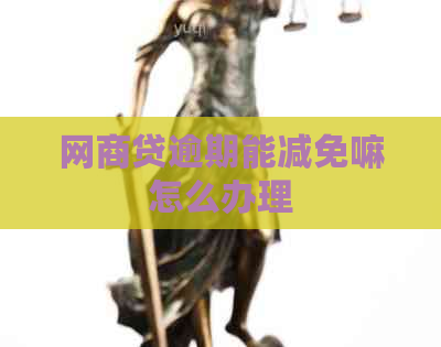 白条贷逾期能减免嘛怎么办理