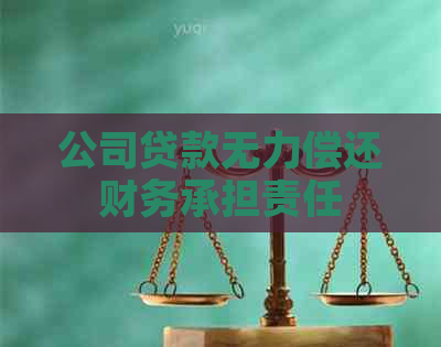 公司贷款无力偿还财务承担责任