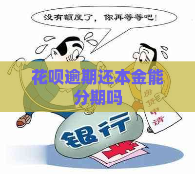 白条逾期还本金能分期吗