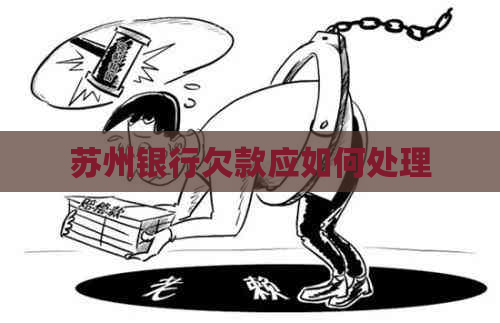 苏州银行欠款应如何处理