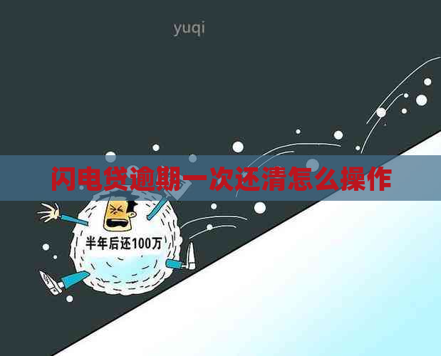 闪电贷逾期一次还清怎么操作