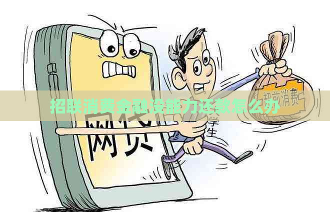 招联消费金融没能力还款怎么办
