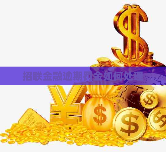 招联金融逾期罚金如何处理