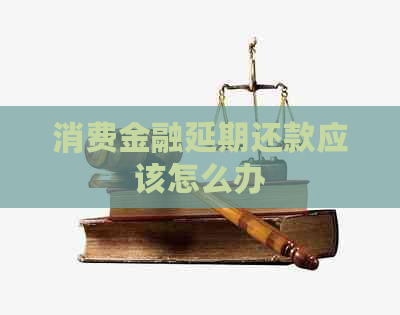 消费金融延期还款应该怎么办