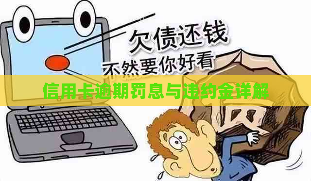 信用卡逾期罚息与违约金详解
