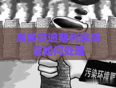 惠民贷逾期利息应该如何处理