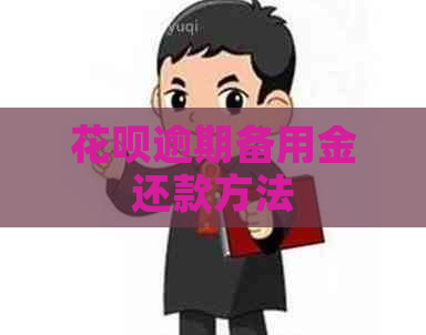 白条逾期备用金还款方法