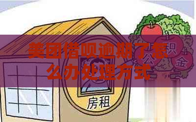 美团信用卡逾期了怎么办处理方式