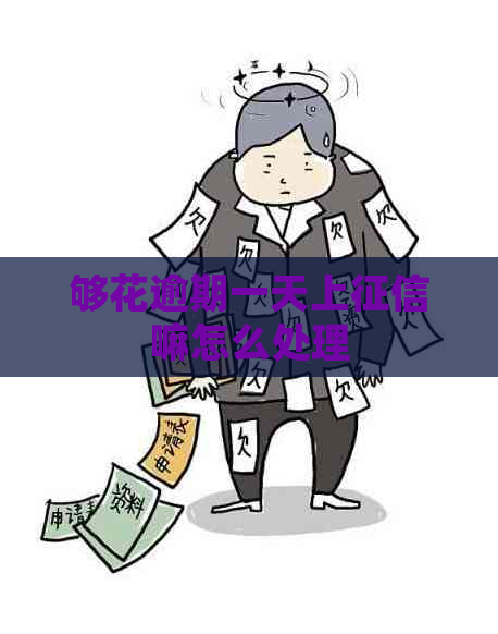 够花逾期一天上嘛怎么处理