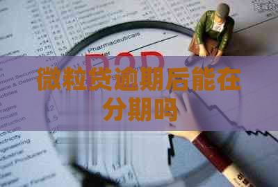 微粒贷逾期后能在分期吗